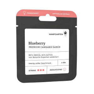 Blueberry | Feminisiert