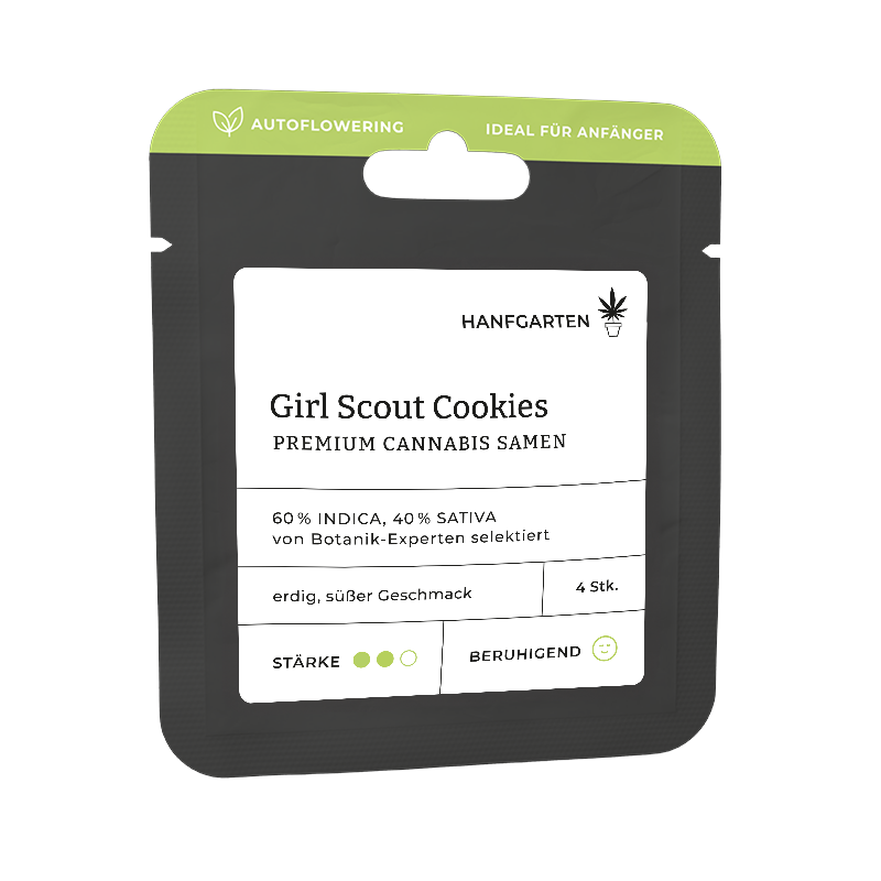 Girl Scout Cookies | Autoflowering Vorderansicht
